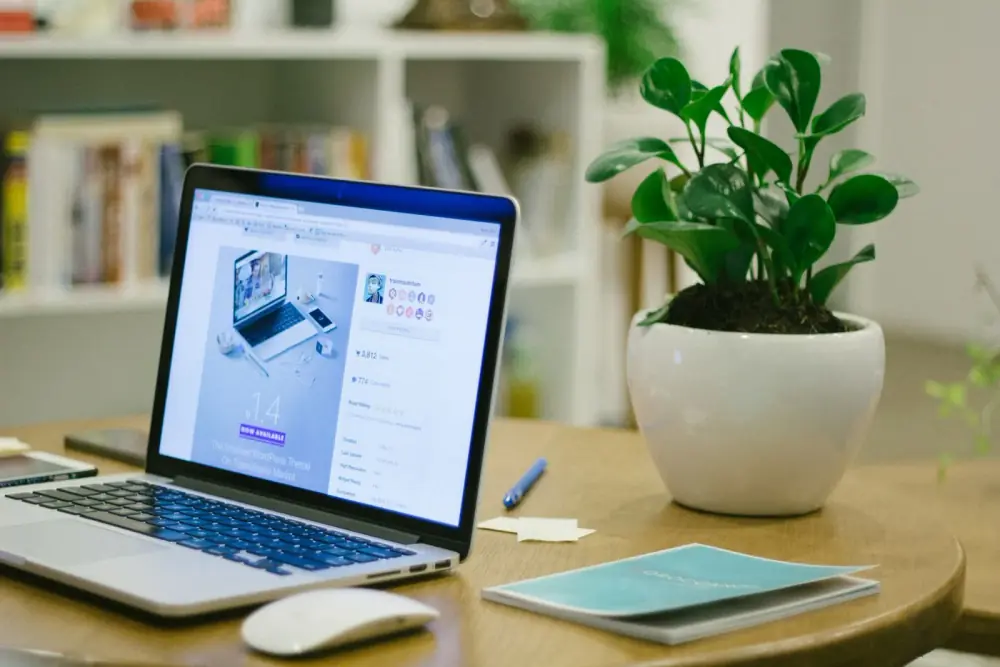 Site web affiché sur un ordinateur portable posé sur un bureau avec une plante